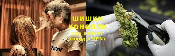 тгк Богородицк
