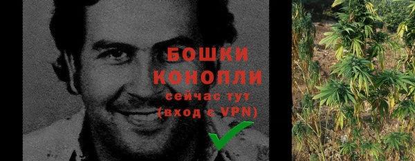 тгк Богородицк