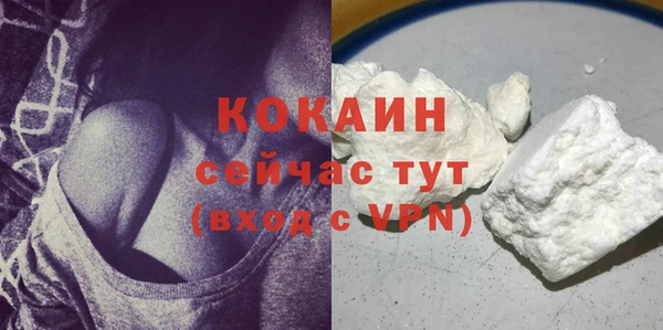 соль ск Богородск