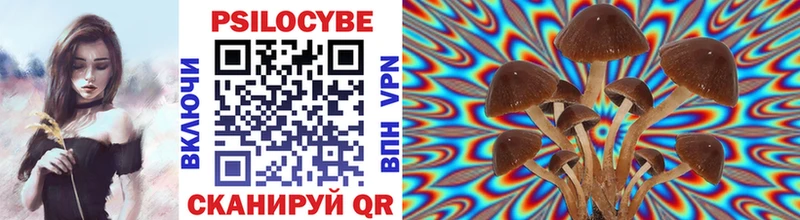 Галлюциногенные грибы ЛСД  Купить где  Борисоглебск 